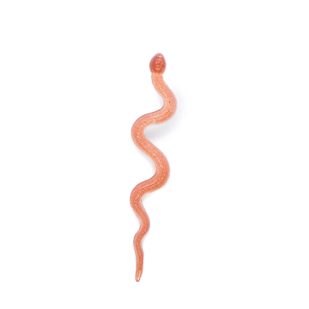 Single textured snake epoxy resin earring in pink.