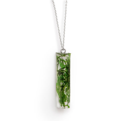 Clear resin pendant filled with greenery and moss, hanging on silver chain