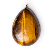 Tigers Eye cabochon on solid white background.